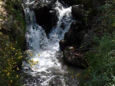 Ruta senderismo Peñalara - Parque Natural de Peñalara; profesionalidad; videosenderismo